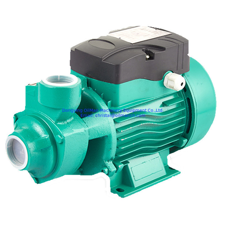 Mejor precio 1 pulgada 220 voltios Qb60 0.5 HP 0.75hp 1hp jardín doméstico motor eléctrico bomba de agua vórtice